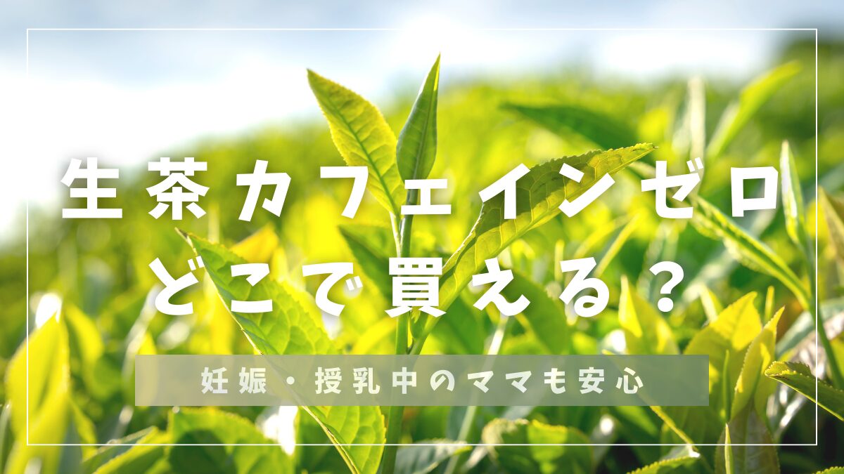 生茶カフェインゼロどこで買える？